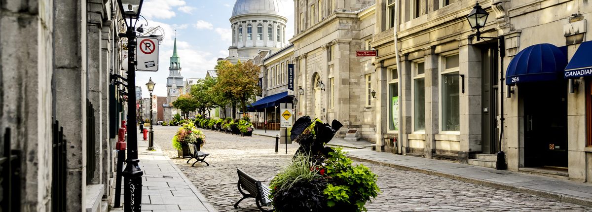 Benches and ornamental shrubs on a cobblestone street in Old Montreal, Canada