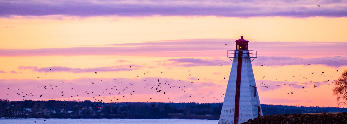 A lighthouse and a flock of birds in front of a cloudy sky at sunset